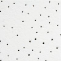 Star Knauf Ceiling IPP Plafones CDMX