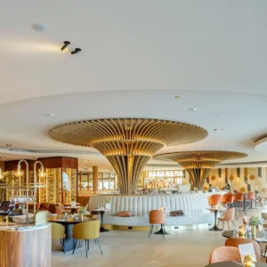 Seamless Acoustic Ceiling